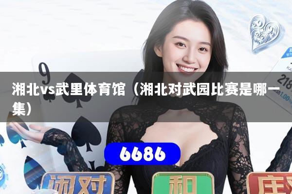 湘北vs武里体育馆（湘北对武园比赛是哪一集）